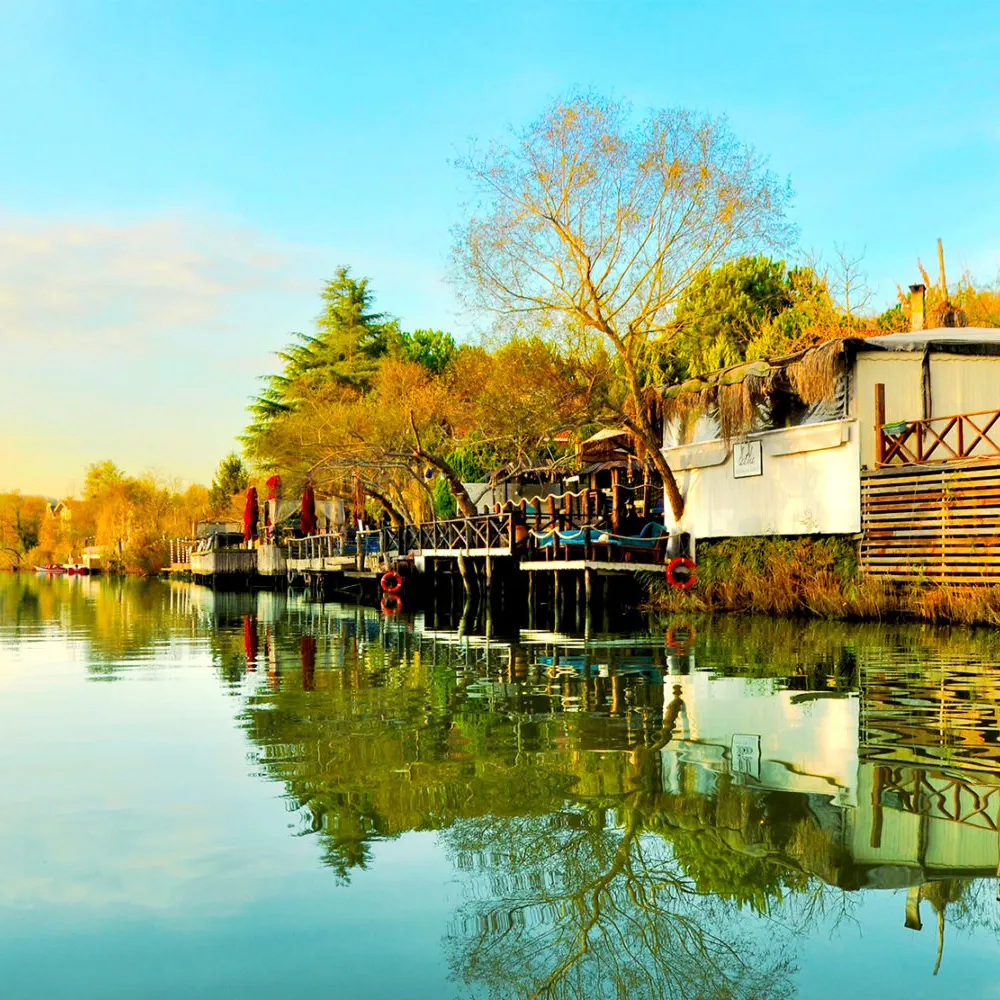 رحلة شيلا وأغوا