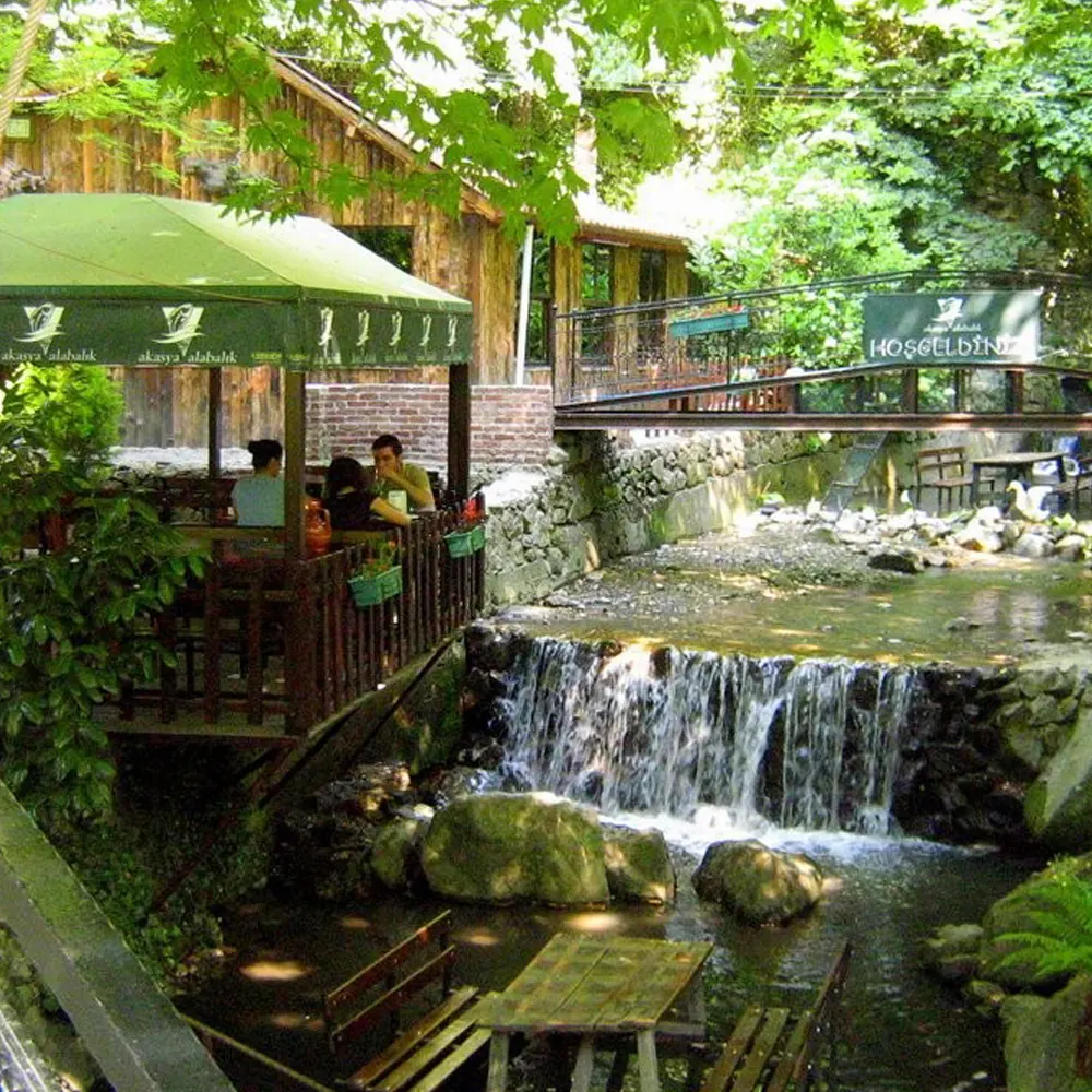 رحلات يومية